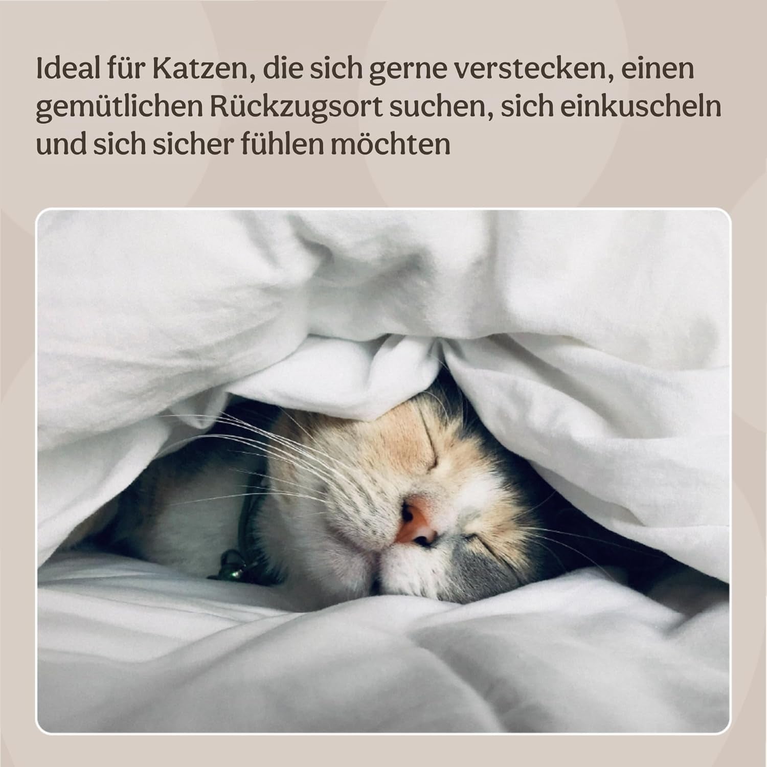 Paturi, cuverturi & mobilier, animale de companie, pisici, paturi pisici, Pisici - culcusuri, saltele