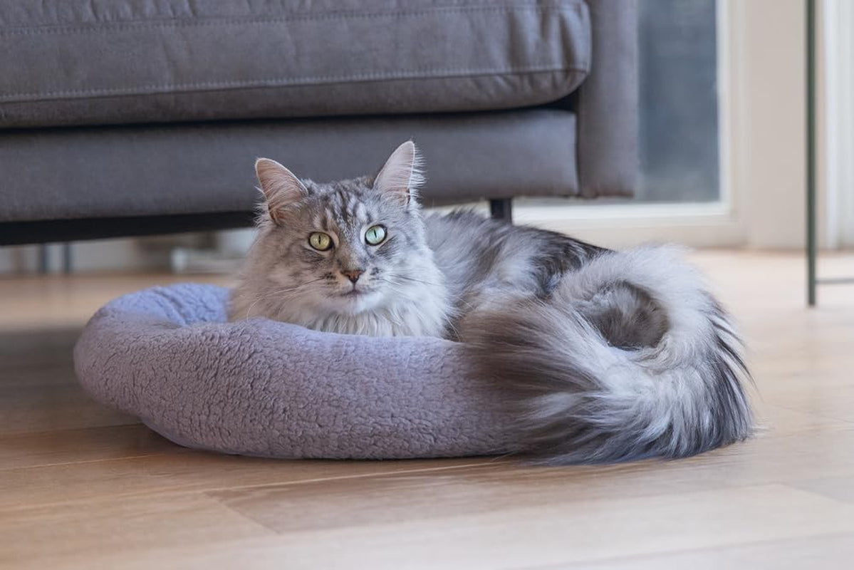 Paturi, cuverturi & mobilier, animale de companie, pisici, paturi pisici, Pisici - culcusuri, saltele