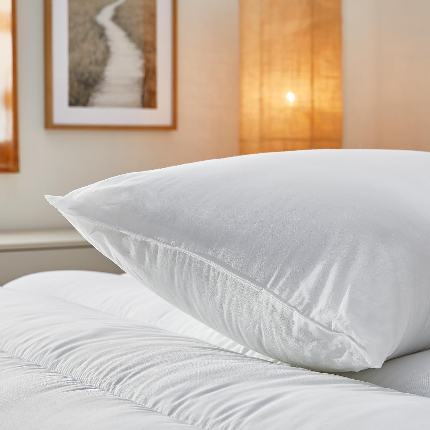 Pikolin Home Lot de 2 oreillers en fibres hypoallergéniques Housse extérieure en coton anti-acariens - Fermeté réduite pour le dormeur inférieur 60 cm 60 X 40 cm Naty Shop Oreillers standard