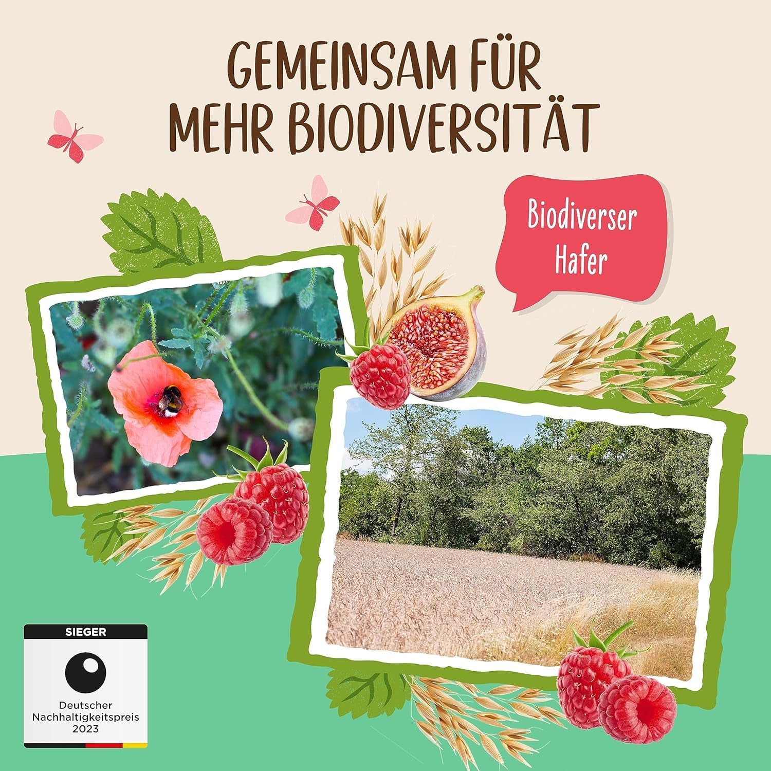 Porridge Allos non sucré aux figues et framboises | Porridge sans sucre | Muesli biologique | Muesli aux fruits | Gruau | Bouillie pour le petit déjeuner | Céréales pour le petit déjeuner | Végétalien | Paquet de 6 (6x500g)