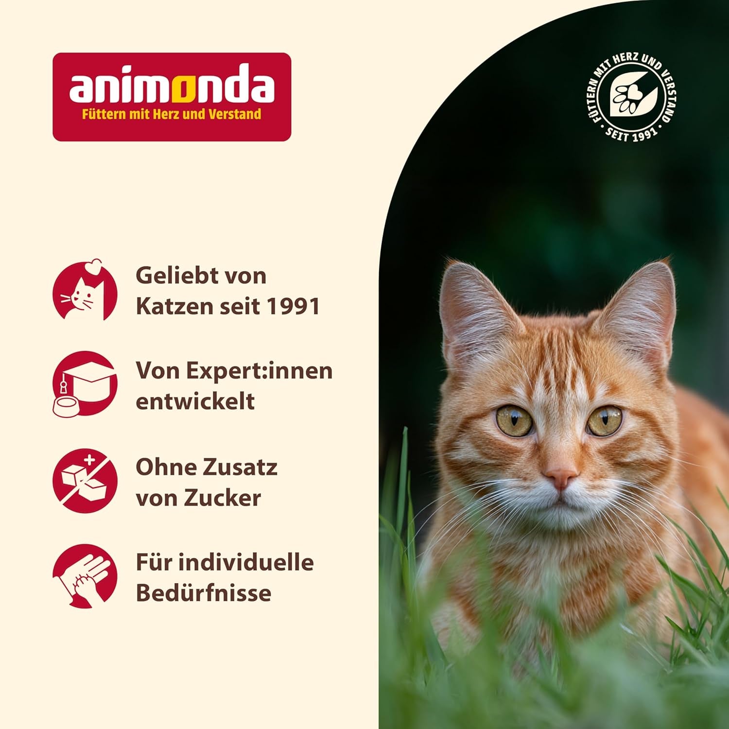 Animonda Carny Senior Nourriture humide pour chats au bœuf + poulet + fromage (6 x 200 g), nourriture humide sans céréales et sans sucre pour chats de 7 ans et plus, avec des ingrédients frais et carnés