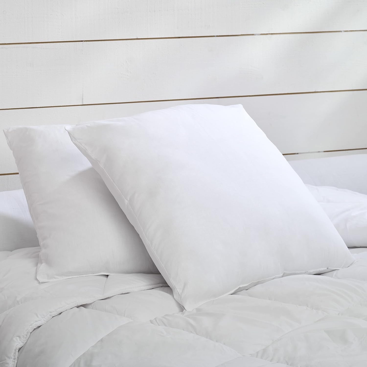 Bleu Câlin Lot de 2 Oreillers au Confort Ferme "Alaska", Super Garnissage, Enveloppe Percale 100% Coton, Blanc, 65 X 65 cm Forme Carrée Naty Shop Oreillers Standard Forme Carrée 65 X 65 Cm
