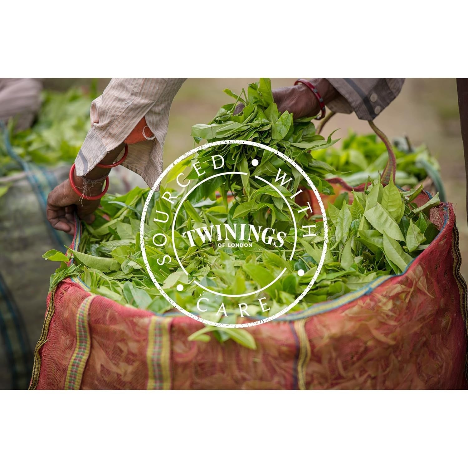 Twinings English Breakfast Tea Thé noir en vrac dans une boîte à thé Thé noir fort issu de feuilles de thé de haute qualité cueillies dans les meilleures plantations de thé du Sri Lanka et de l'Inde G, neutre, 100 grammes