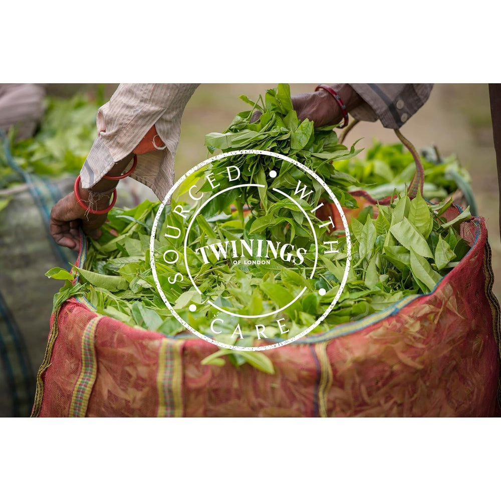 Twinings English Breakfast Tea Thé noir en vrac dans une boîte à thé Thé noir fort issu de feuilles de thé de haute qualité cueillies dans les meilleures plantations de thé du Sri Lanka et de l'Inde G, neutre, 100 grammes
