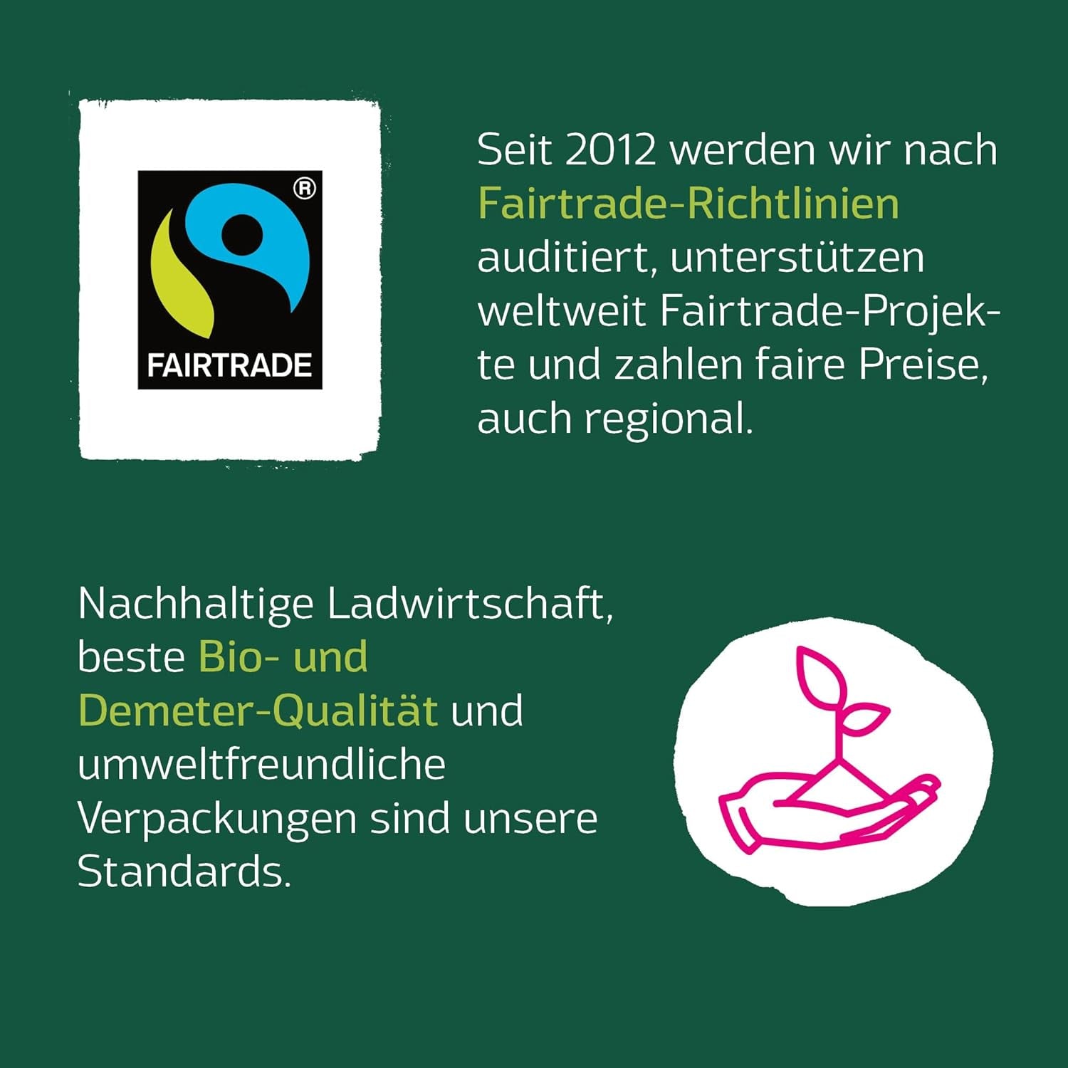 Feuilles de lasagnes à l'épeautre entier biologique, 250 g | Sort de Déméter des Alpes souabes | Saveur délicate de noix pour les lasagnes et les ragoûts