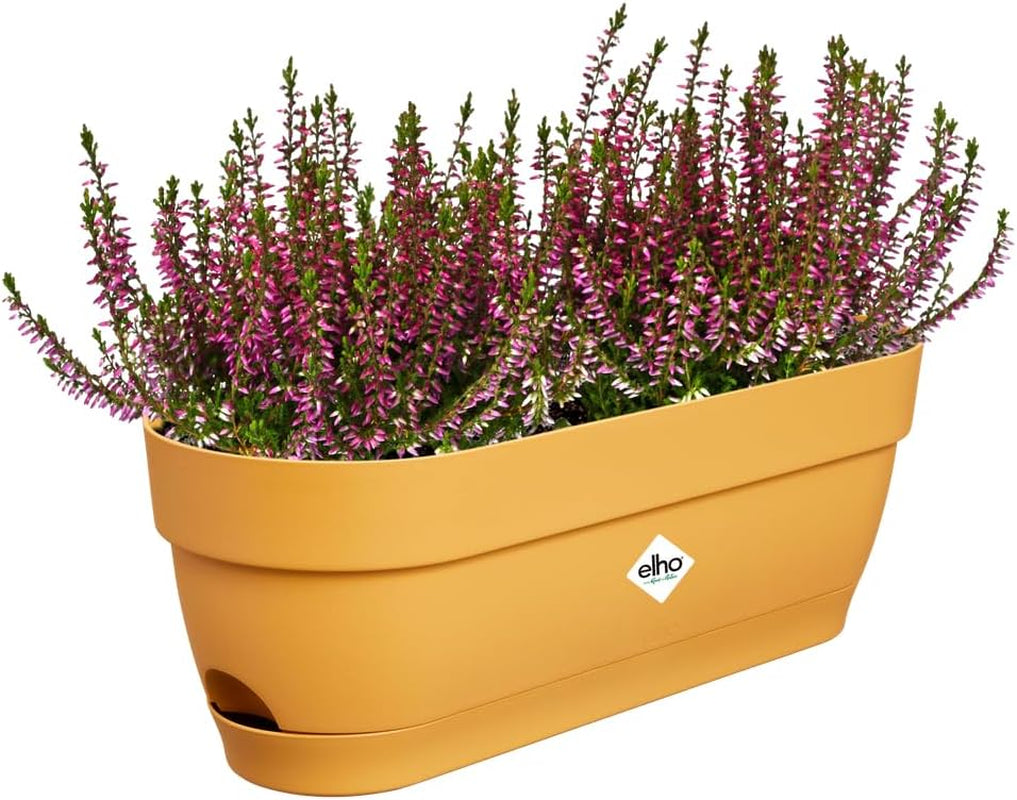 Elho Vibia Campana, ghiveci de balcon cu rezervor de apă, 50 cm, 100% plastic reciclat, Ø 49,0 x H 17,0 cm, negru/antracit