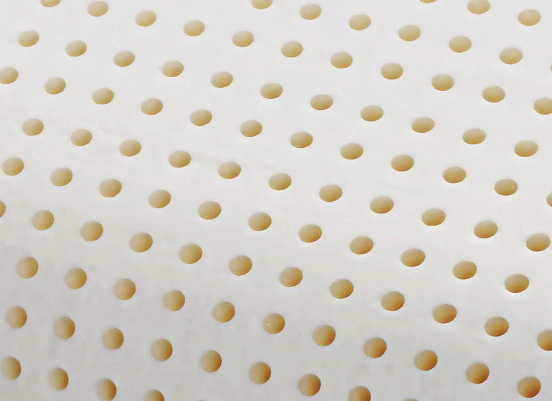 Oreiller orthopédique de soutien du cou - Aloe biologique - Aloe Vera Oreiller viscoélastique Hauteur 14 cm Housse 100% coton Oreiller visco - Oreiller en mousse à mémoire de forme - Fabriqué en Italie Naty Shop Oreillers standards