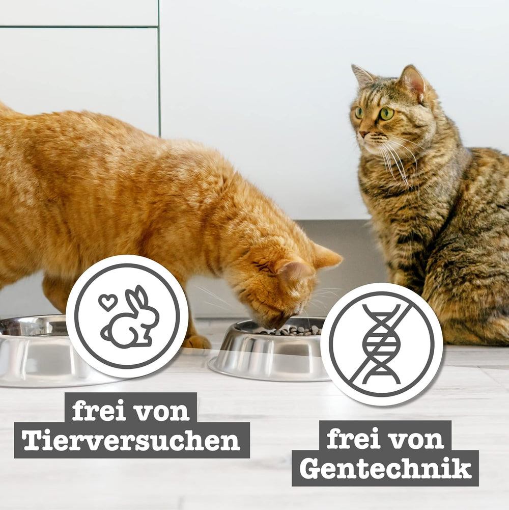 catz finefood Senior Collection Katzenfutter nass - Premium Nassfutter für Ihre Senior Katze - getreidefree, ohne Zucker, hoher Fleischanteil, Vitamine & Mineralien (6 x 200g Dose)