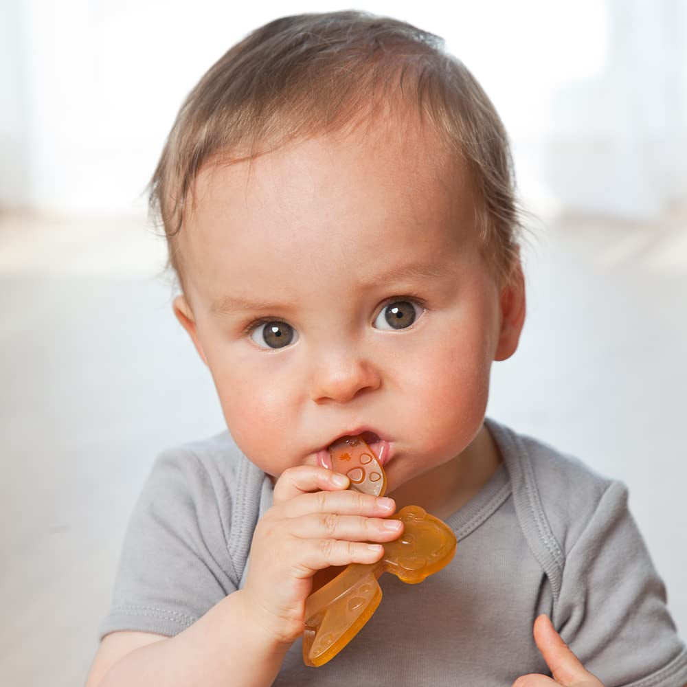 GRÜNSPECHT Anneau de dentition en caoutchouc naturel biologique pour bébés, massage des gencives, sans BPA, doux, favorise la motricité fine, tortue (639-V2), marron