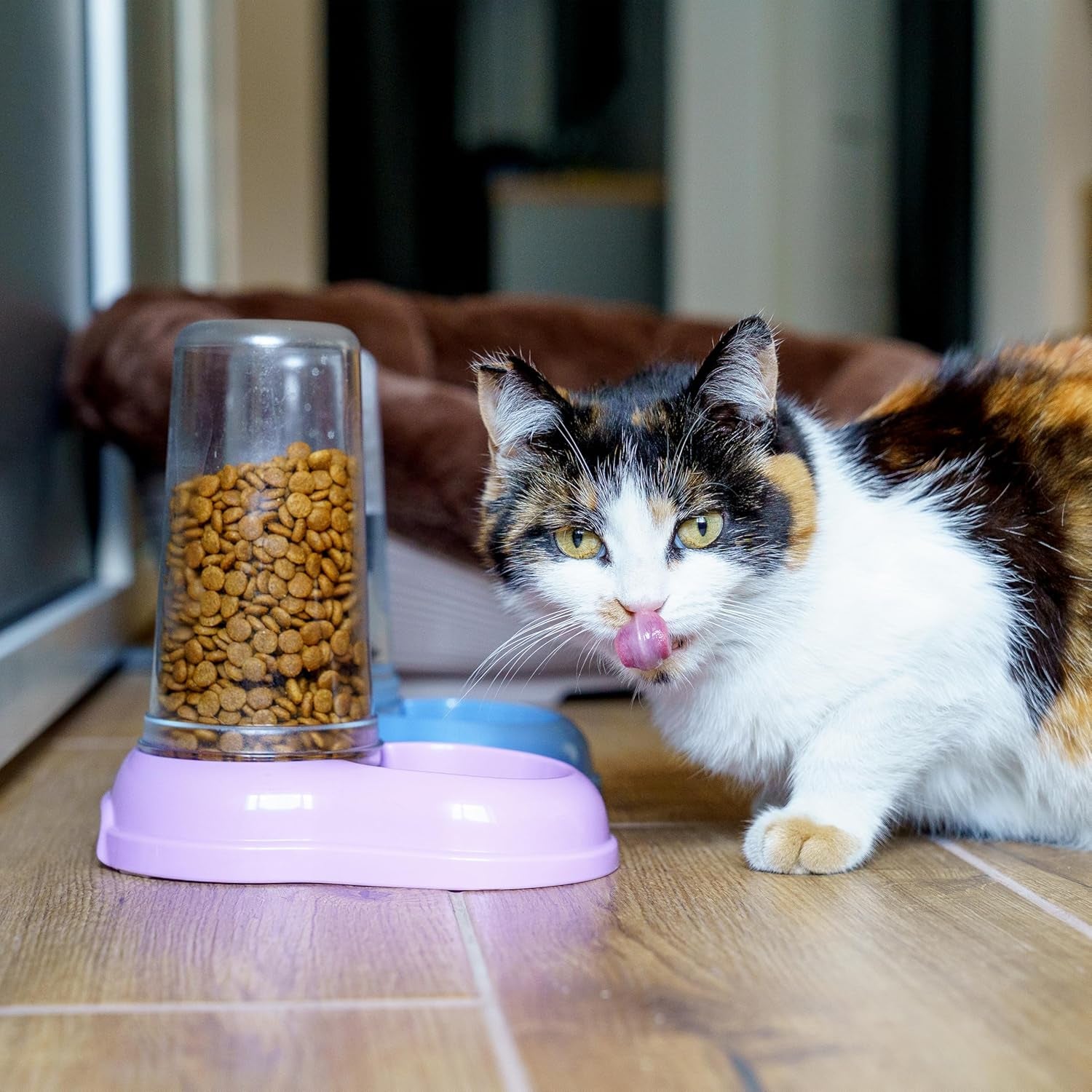 Ferplast Futter- oder Wasserspender für Hunde und Katzen AZIMUT 600 Futtertrog Water 0,6 Litre, Rutschfester Boden, 12,5 x 19 x H 19,5 cm Bleu