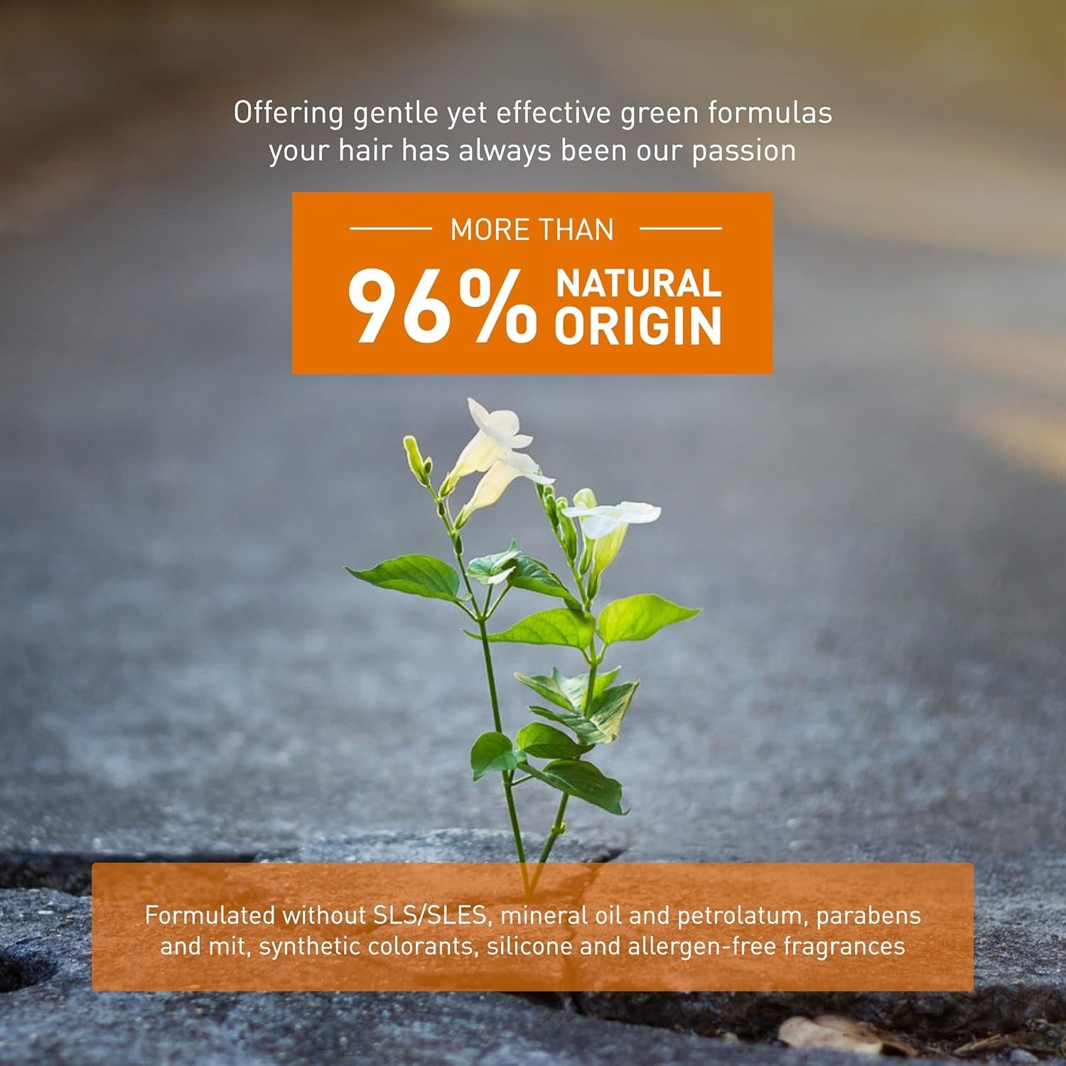 Mască antioxidantă de întinerire - 250 ml Masca de par Naty Shop