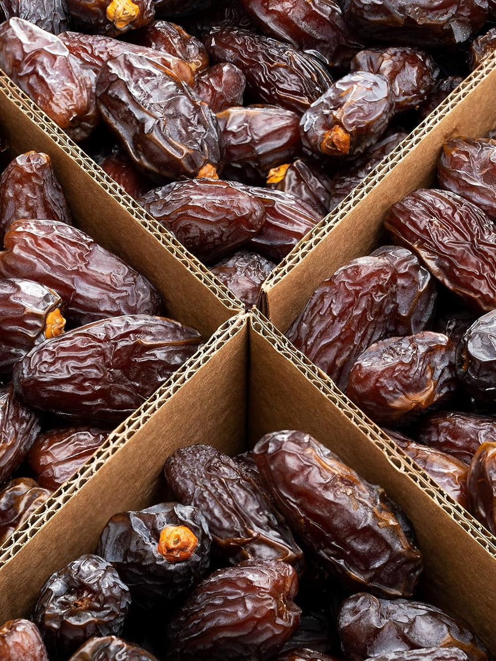 Dattes Biojoy BIO-Medjool d'Israël (5 kg), séchées et entières, non soufrées, Produits déshydratés de la Mer Naty Shop