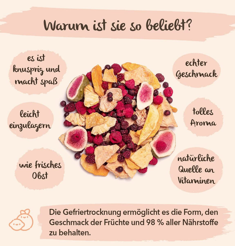 BRIX Mango liofilizat | Natural, felii de mango uscat 95 g | Great Taste Award fructe uscate, mango liofilizat | Fără OMG, fără gluten, vegan, vitamine reținute Produse deshidratate Naty Shop