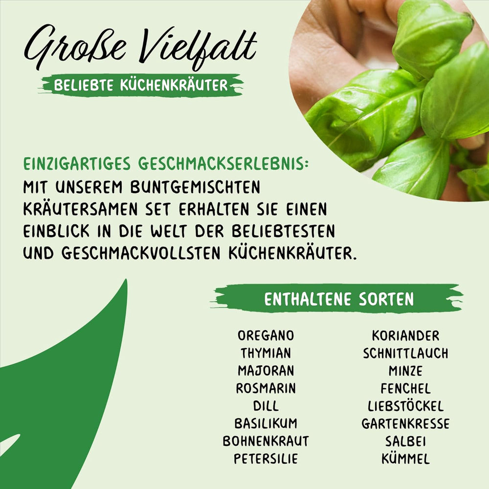 Prademir – Kräutersamen Set aus 16 beliebten Küchenkräutern – Kräuter Anzuchtset mit 100% Natursamen au Portugal – Kräuter Saatgut à l'origan, thym, marjolaine, romarin, aneth, basilic, sauge uvm