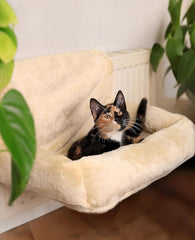 Lits, couvertures et meubles, animaux, chats, lits pour chats, Chats - lits, matelas