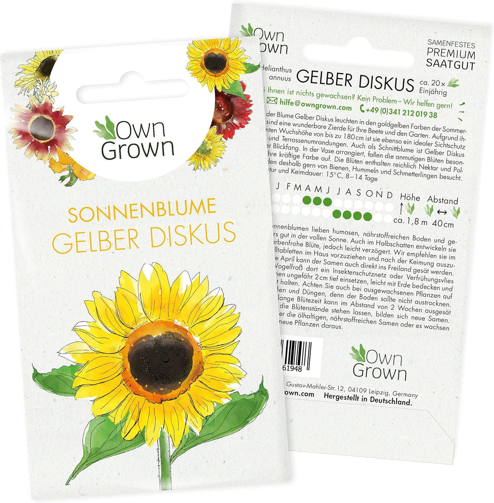 Graines de tournesol Discus jaunes (Helianthus annuus) : graines de tournesol de qualité supérieure, graines de tournesol pour la culture d'environ 20 plantes de tournesol – graines de fleurs respectueuses des insectes de OwnGrown