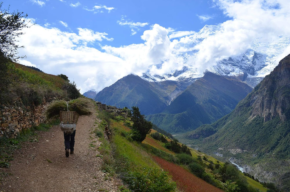 Rohkaffee Népal Mont Everest Café (1000g)