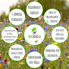Graines d'abeilles - fleurs sauvages des prés, vivaces et résistantes à l'hiver, graines - plus de 40 fleurs indigènes et herbes sauvages, sélection spéciale d'espèces pour le sud de l'Allemagne, 50g