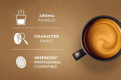 Café Royal Professional Pads, Bio Lungo, 50 Nespresso (R) Professional compatibles Pads for Office and Gastronomie, Bio et Fairtrade zertifiziert, 100 Prozent Arabica, Intensité 5