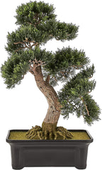 4103 61 Cm Zedern-Bonsai-Seidenpflanze, Grün