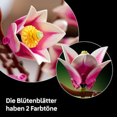 LEGO Botanicals Magnolienzweige - Kunstblumen Set für Erwachsene - 5 künstliche Magnolien für Deko im Wohn- oder Schlafzimmer - DIY Geschenkidee für Frauen - 11510
