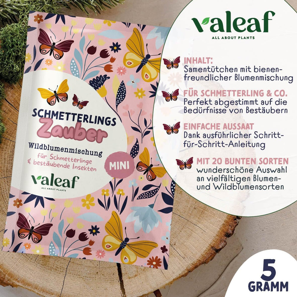 Schmetterlingswiese Blumensamen Schmetterlingsgarten I Blumensamen Balkon I Blumensamen Tütchen mit Wiesenblumen Samen I bienenfreundlich Blumensamen (Schmetterlings-Zauber mini)