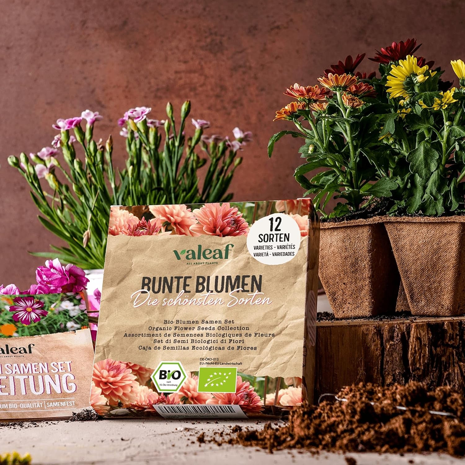 Ensemble de graines de fleurs biologiques | 12 variétés de graines de fleurs | Graines de fleurs haut de gamme | Ensemble de graines de plantes de graines de fleurs sauvages | Graines de fleurs | Graines de fleurs pour le balcon | Cadeau idéal avec des graines de fleurs