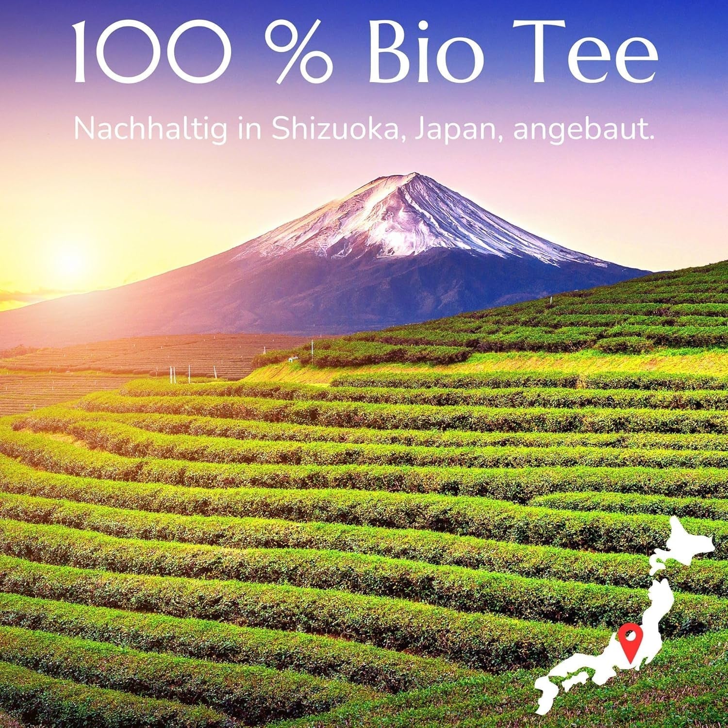Ceai verde organic Genmaicha Anna'S Teapot - Ceai verde japonez în pliculețe cu orez brun prăjit și Matcha - 20 pliculețe piramidale în pungă resigilabilă