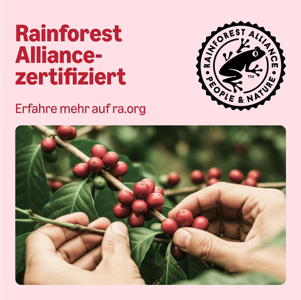 par Amazon Classic Kaffeepads aus 100% Arabica, geeignet for Senseo-Maschinen, 36 Stück (1 Packung mit 36 ​​​​Stück) – Rainforest Alliance certifié