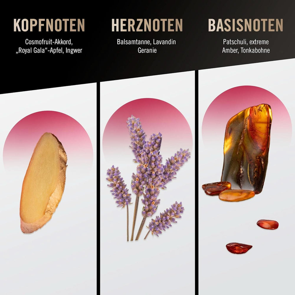 Bruno Banani Loyal Man gel de duș 3 în 1 pentru corp, păr și față, bărbați, 250 ml Duș și baie Naty Shop