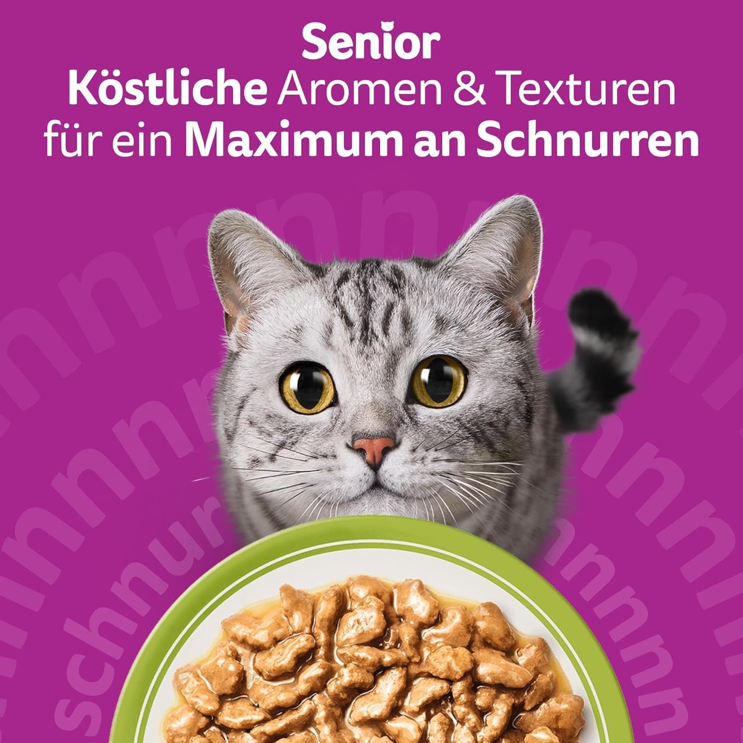 Whiskas Senior 7+ Nourriture humide Sélection mixte en sauce, 48 sachets, 12x85 g (lot de 4) - Nourriture humide de haute qualité pour chats de 7 ans et plus