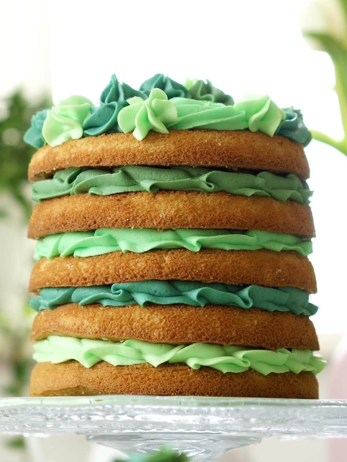 Sugarflair Pasta Colorant Alimentaire, Vert, Lot de 4, Colorant Alimentaire pour Pâtes, Fondant, Massepain, Pâte à Sucre, Crème au Beurre et Plus encore : Vert Ilex, Vert Printemps, Vert Épicéa, Vert Fête - Lot de 4