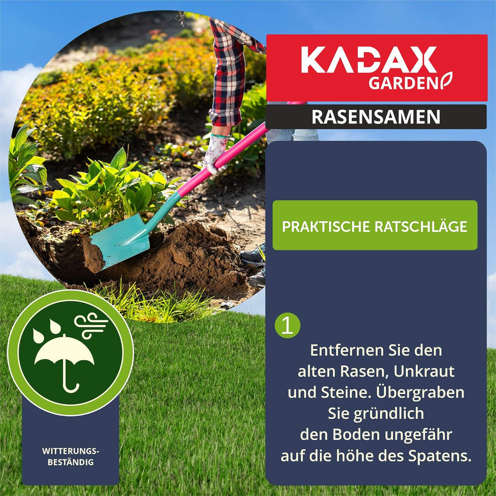 KADAX Ziergras, 200 M², Ziergrassaatgut, Grassaatgut, Rasenmischung, Grassamen, Rasensaat, Wirksames Saatgut, Rasensaatmischung, Gras, Saatgutmischung (5 Kg)