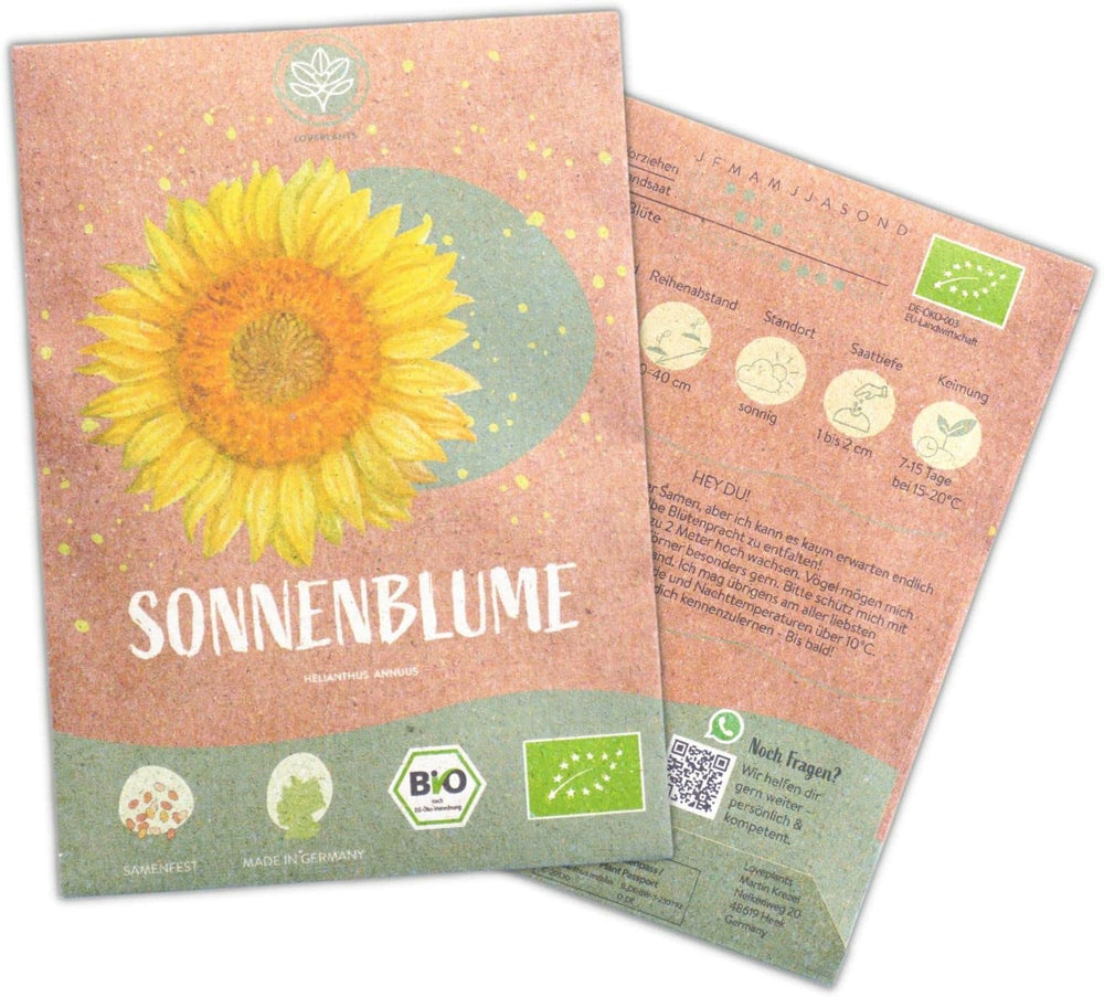 Graines de tournesol biologiques, ramifiées, 20 graines de tournesol à taux de germination élevé, graines de tournesol pour le jardin, le balcon, le parterre de fleurs ou comme cadeau d'invités. Graines de fleurs pollinisées gratuites.