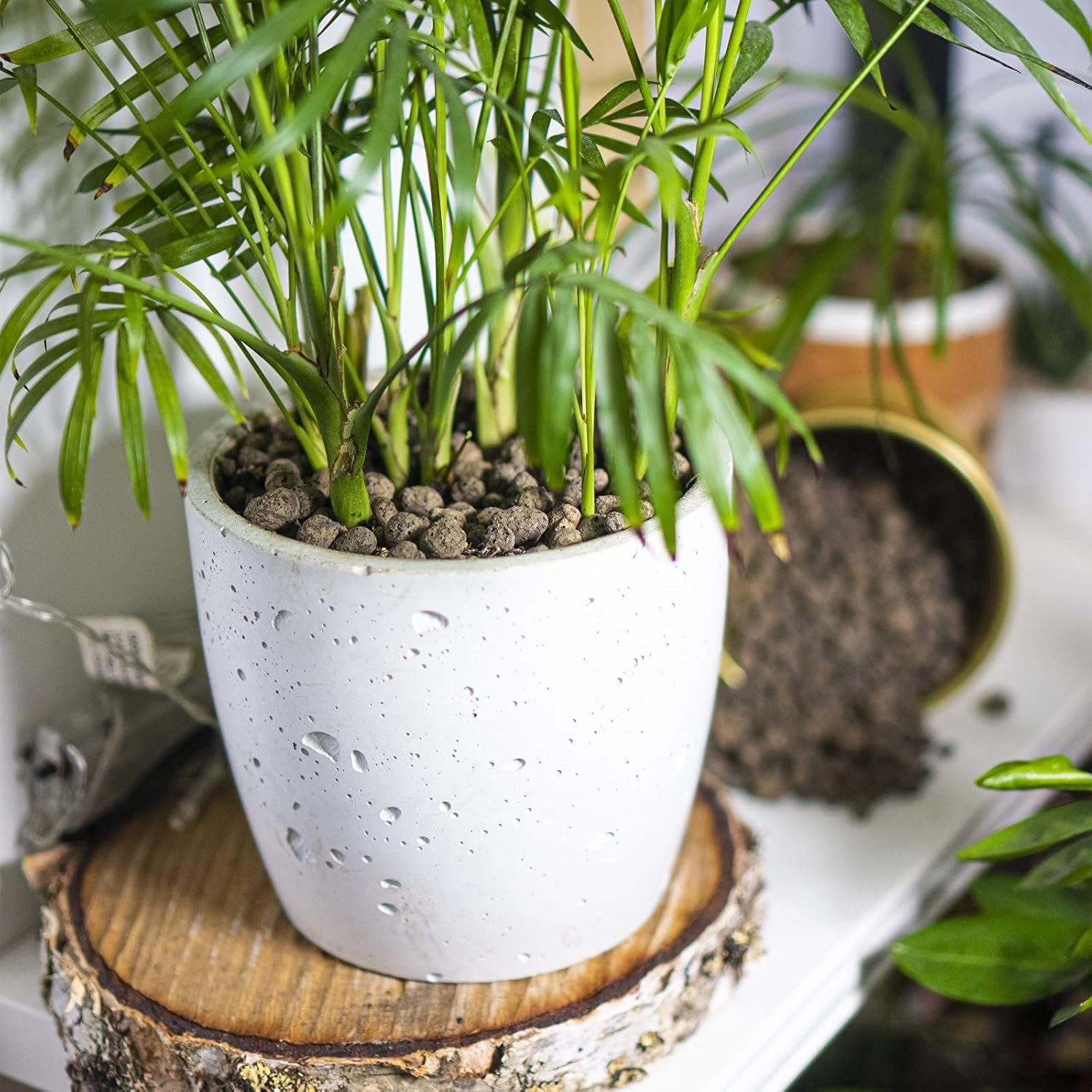 Browin 749950 Keramsit - argile expansée 4 L, 10-20 mm, marron