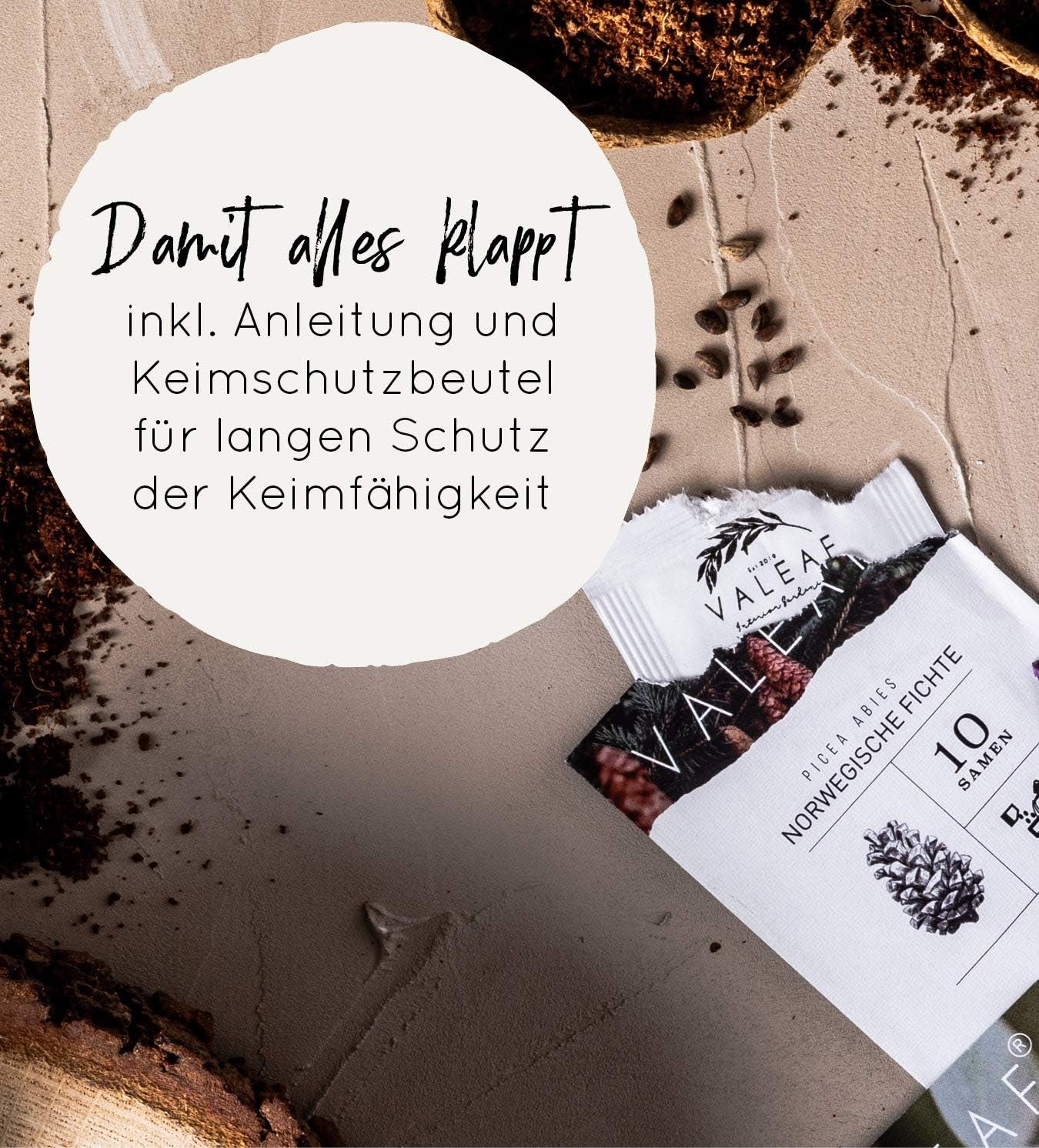 10 graines de bonsaï des 5 continents | Graines d'arbres exotiques pour votre bonsaï unique | Kit de démarrage et passionnés de plantes | Notre coffret bonsaï comme idée cadeau spéciale