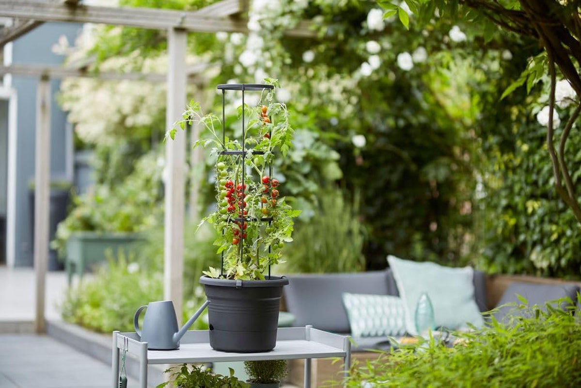 elho Green Basics Tomato pots 33 - Pots de fleurs pour la culture et la récolte en extérieur - Ø 33,5 x H 26,0 cm - Noir/Noir vif