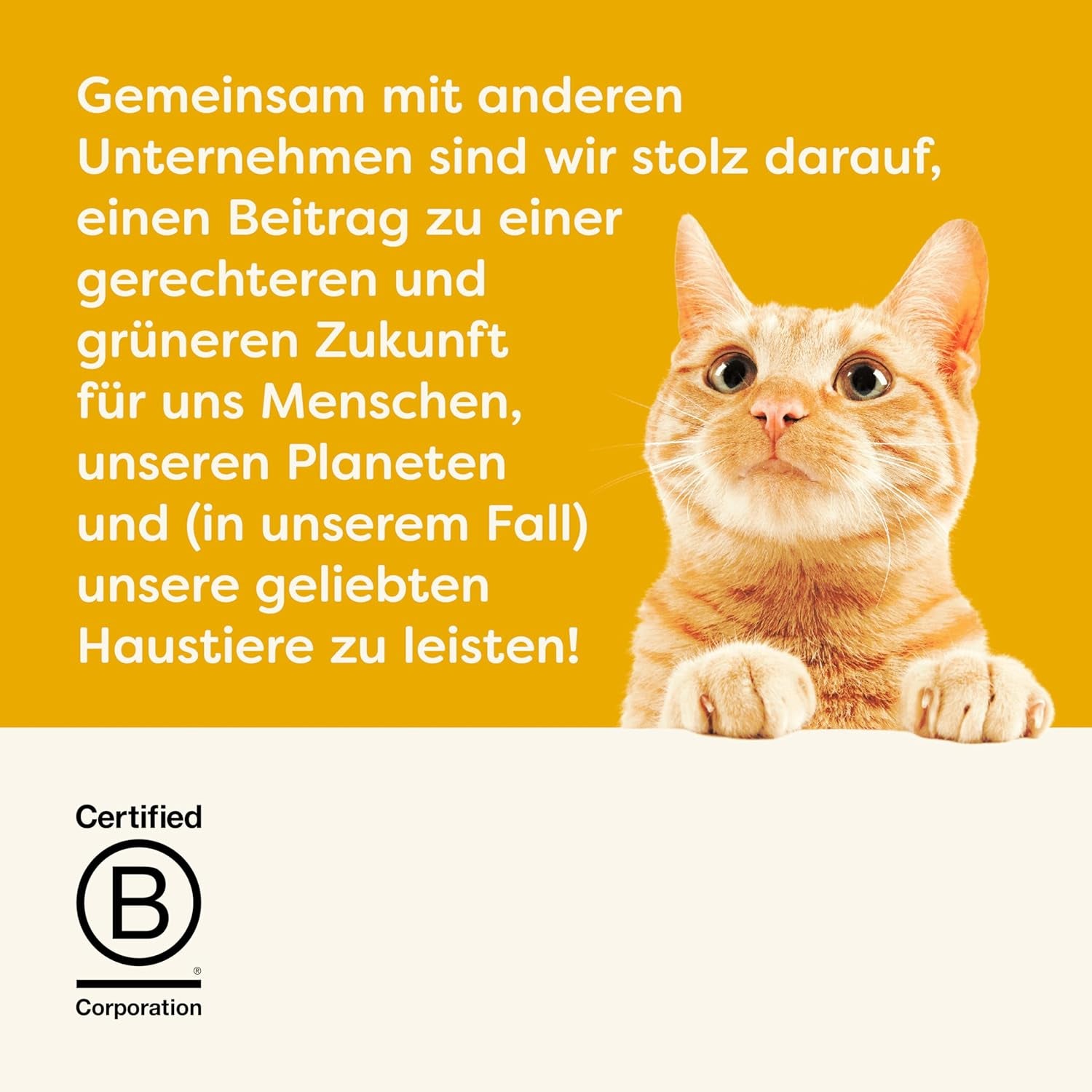 Applaws Snack crémeux au poulet sans céréales pour chats et chatons 32 sachets x 15 g