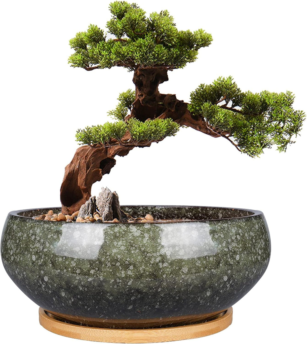 Ghiveci ceramic pentru bonsai, glazurat, puțin adânc, pentru plante suculente, cu orificiu de drenaj și farfurie din bambus pentru plante de apartament, 20,3 cm, maro