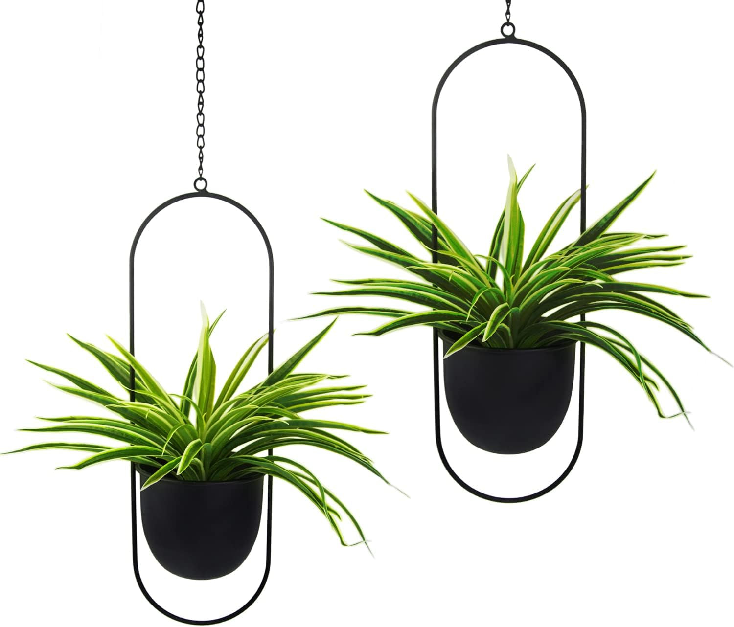 Pots de fleurs suspendus en métal 2 pièces cintre de plante géométrique ovale noir avec pots jardinière de mur et de plafond moderne intérieur extérieur 15,2 cm Pots de fleurs 2 pièces