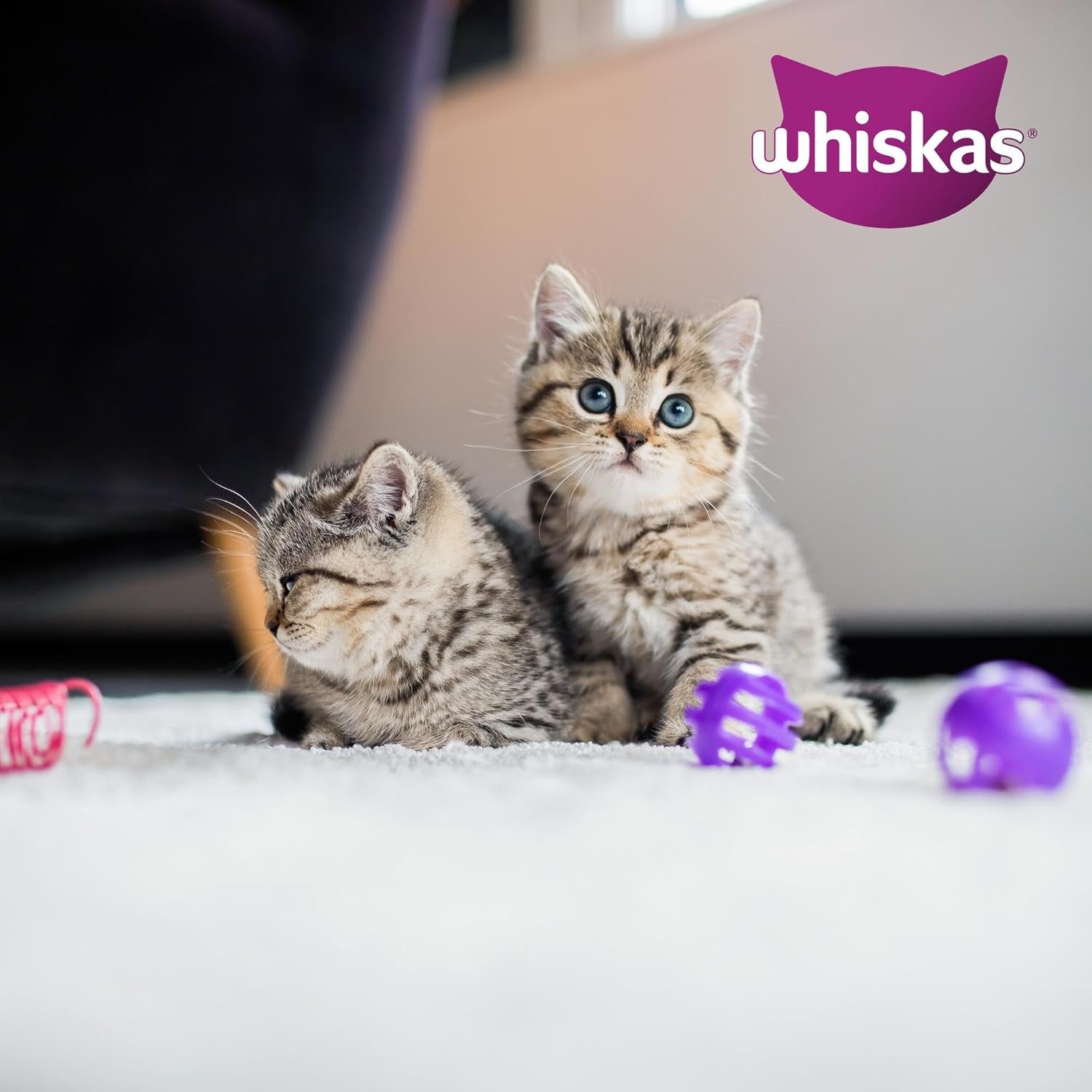 Hrană umedă pentru pisici Whiskas Junior Classic Selection în sos, 48 de pliculețe, 12 x 85 g (pachet de 4) – Hrană umedă de înaltă calitate pentru pisici în creștere, de la 2 la 12 luni