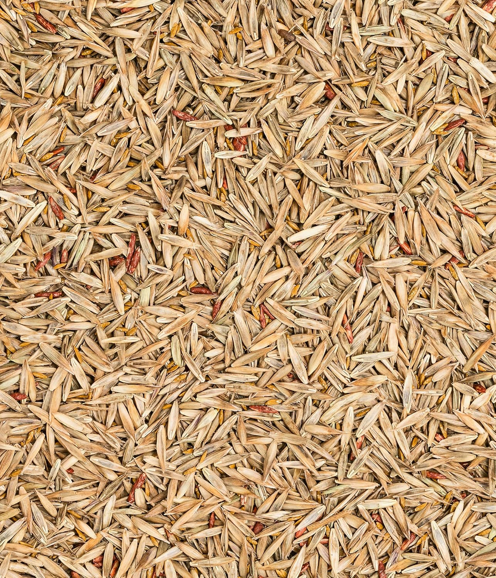 Dehner Saatgut Rasensamen, Trockenrasen, Hochwertige Saatgutmischung, Strapazierfähig/Selbstregenerierend, 750 G, Für Ca. 25 M², Natur