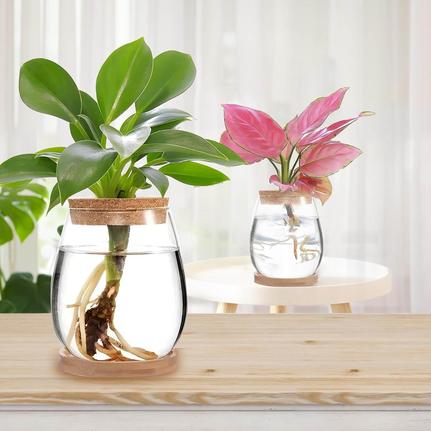 Station de culture de plantes hydroponiques 12x11 cm Vase de graines d'avocat Jardinière en verre Vase en verre hydroponique pour plantes aquatiques ou fleurs Décor de table de bureau 2 pièces