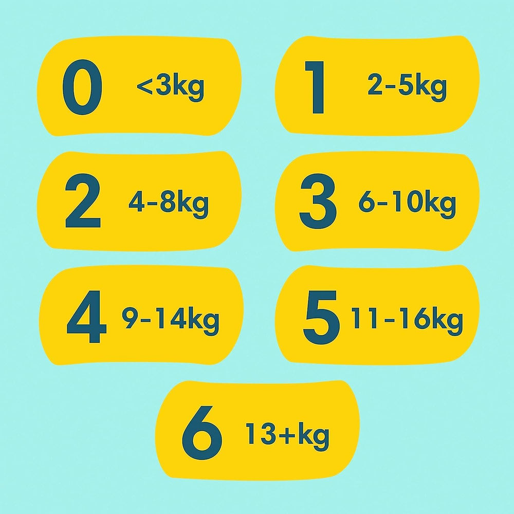 Premium Protection Starter Pack 1 et lingettes humides Aqua