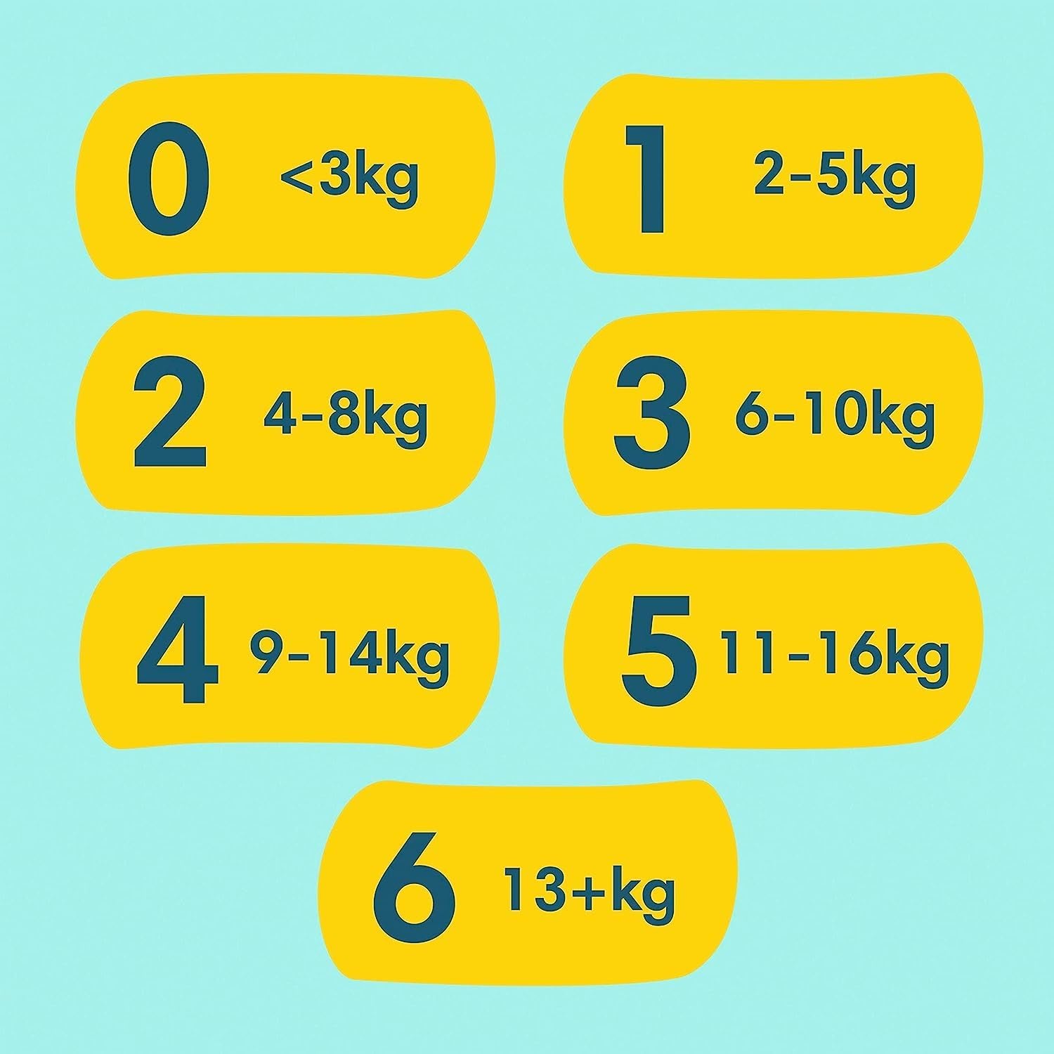 Premium Protection Starter Pack 1 et lingettes humides Aqua