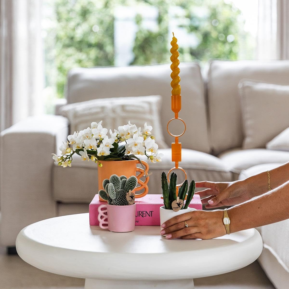 Kolibri Orchids | Weiße Phalaenopsis Orchidee - Nazaré - Topfgröße Ø9Cm | Blühende Zimmerpflanze - Frisch Vom Züchter