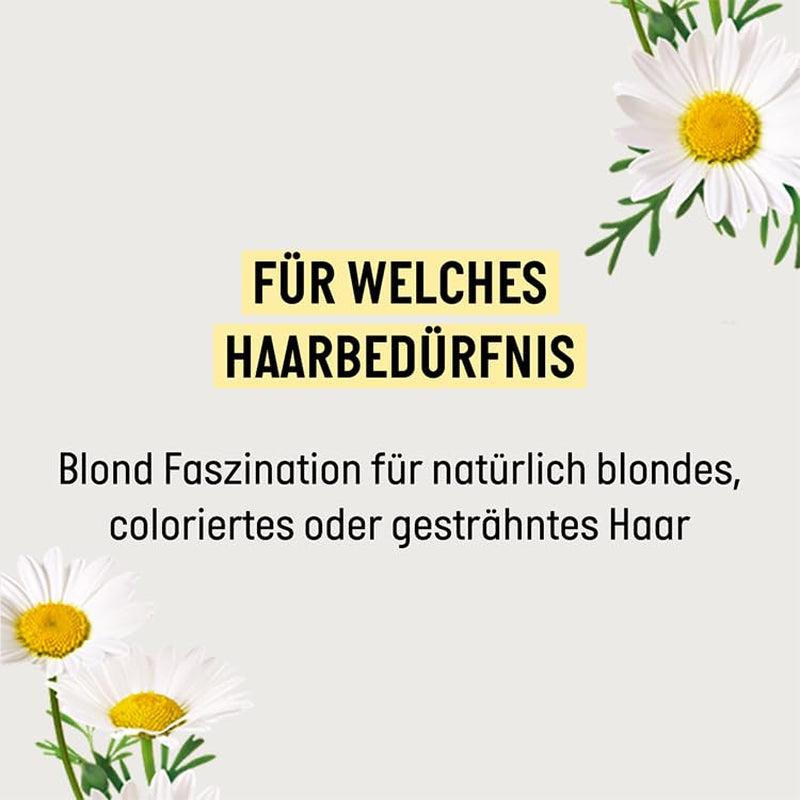 Guhl Blond Fascination Shampooing, Type de cheveux : Blonds, décolorés Guhl Douche et Bain