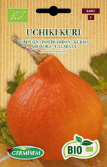 Kürbis BUTTERNUT, ECBIO4002 & Kürbis UCHIKI KURI, ECBIO4007