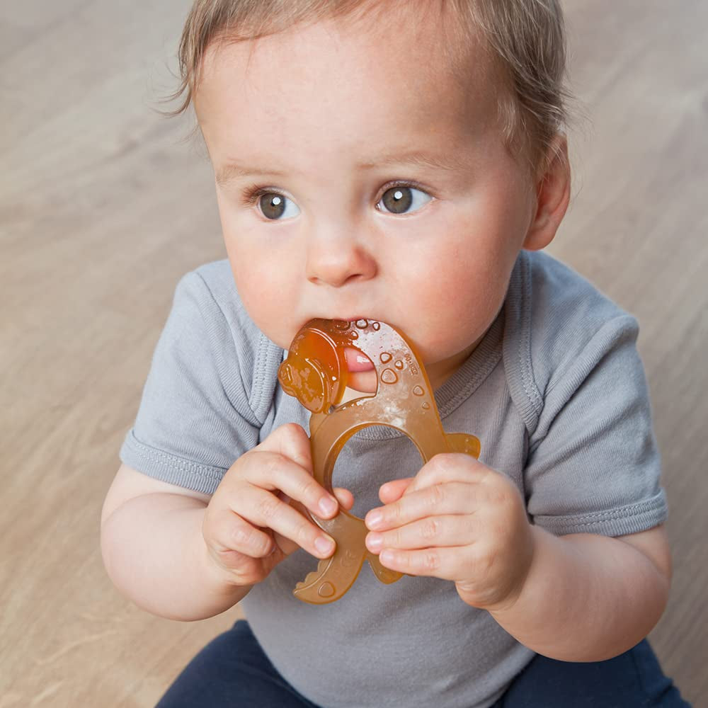 GRÜNSPECHT Anneau de dentition en caoutchouc naturel biologique pour bébés, massage des gencives, sans BPA, doux, favorise la motricité fine, motif dinosaure (639-V1)