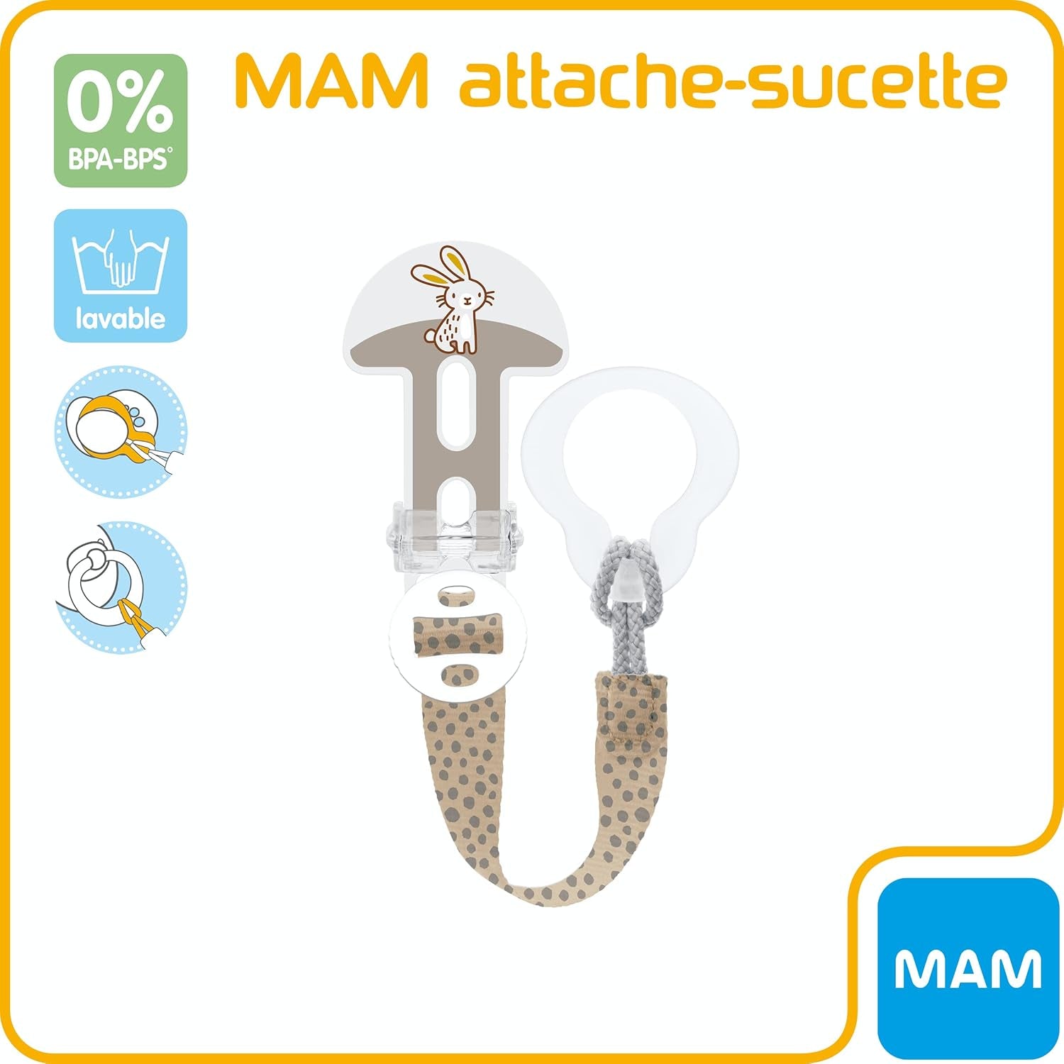 Mélange de succulentes MAM pour tous âges - couleur aléatoire - notice en français.